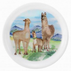 Купить тарелка фарфор плоская seltmann weiden alpaka 25см 001.748912 – цена от завода, доставка до двери | RuOborudovanie.ru