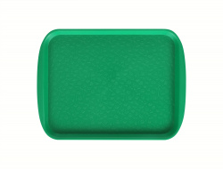 Купить поднос столовый 330х260 мм светло-зеленый – цена от завода, доставка до двери | RuOborudovanie.ru